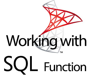 Working with SQL Functions