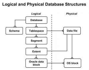oracle database logical strucrure